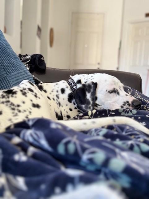 Chance-indio Ca photo 1