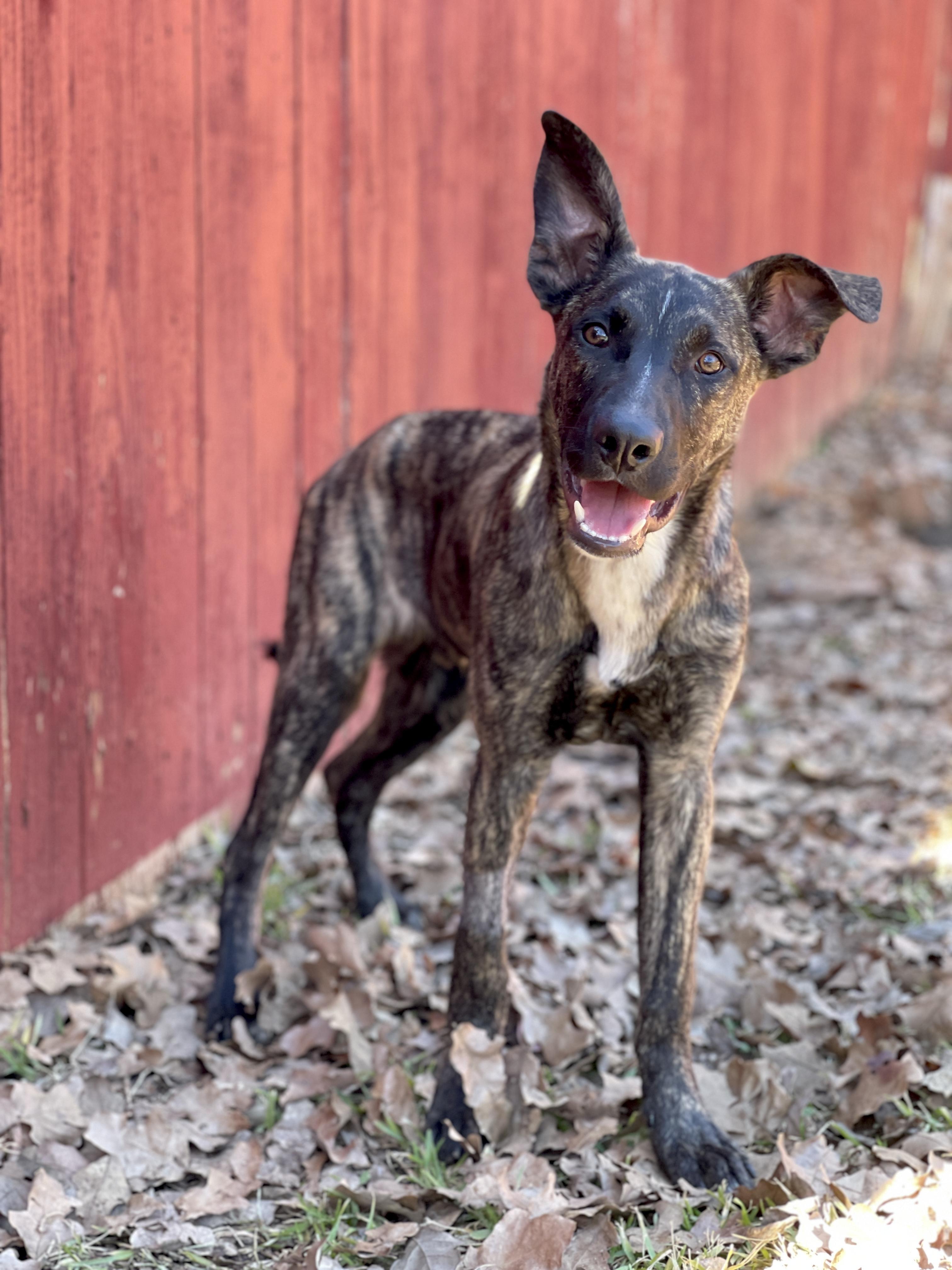 George Clooney photo 1