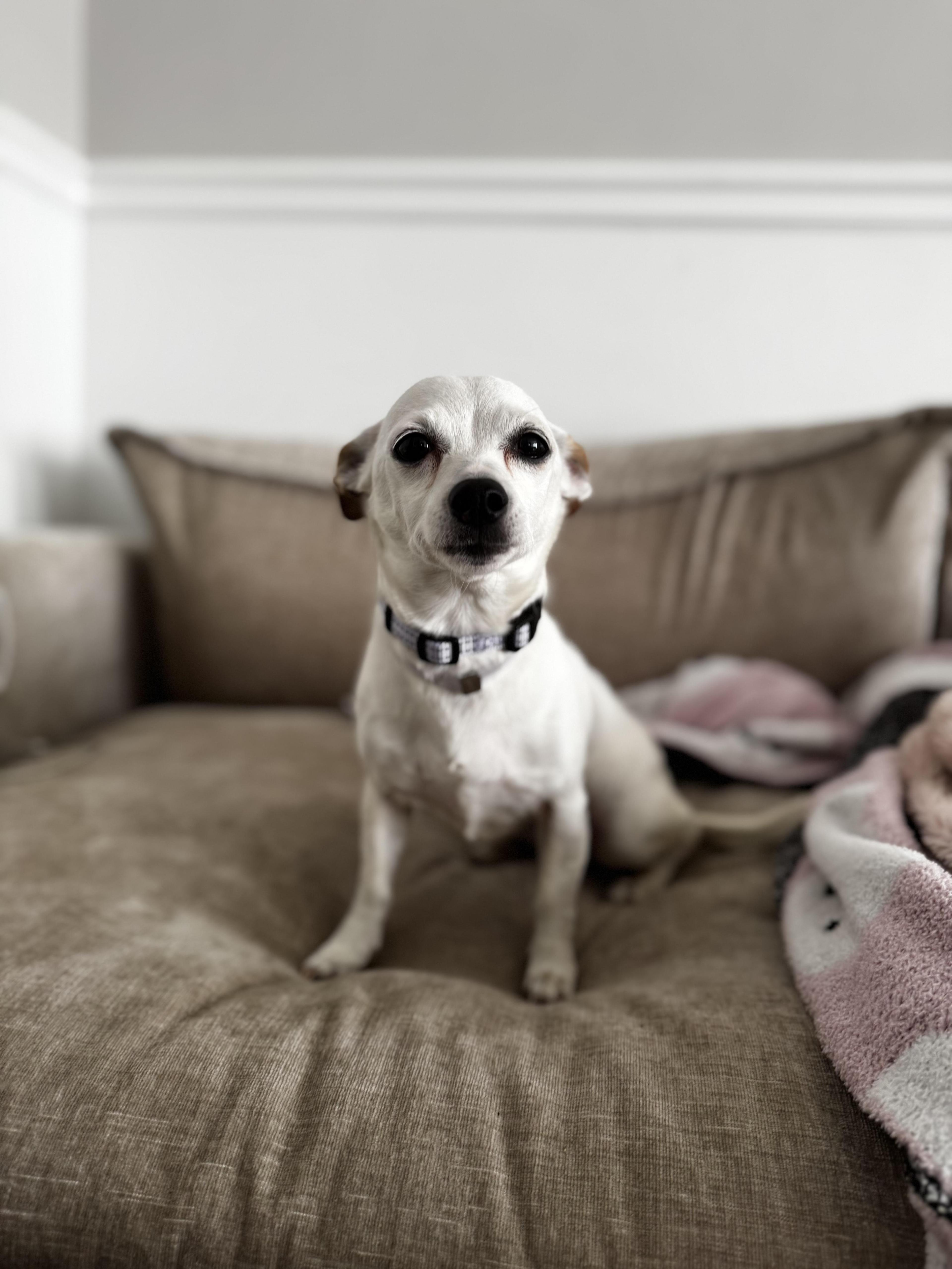 Tahitian Twilight photo 1