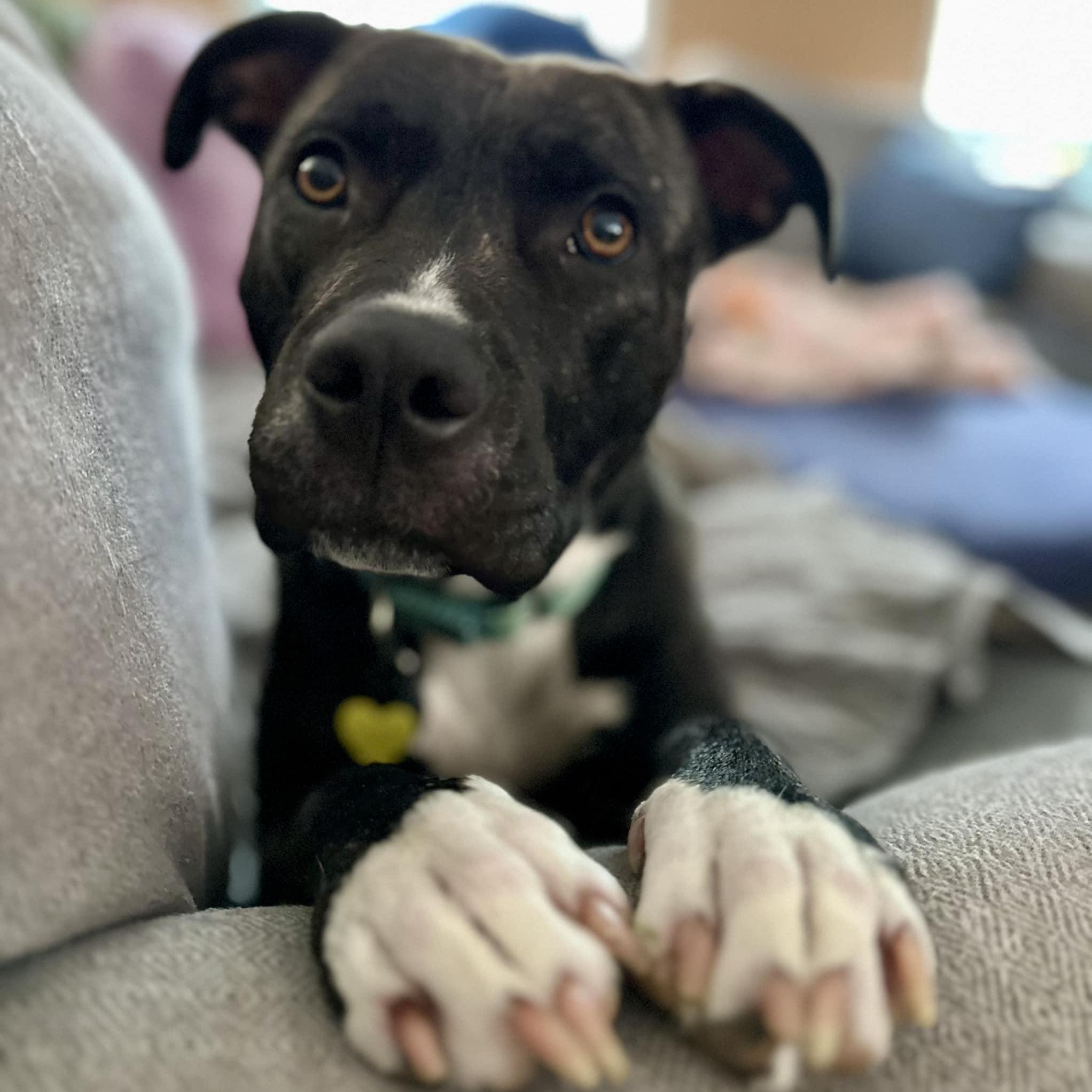 Clarice Here In Nh photo 1