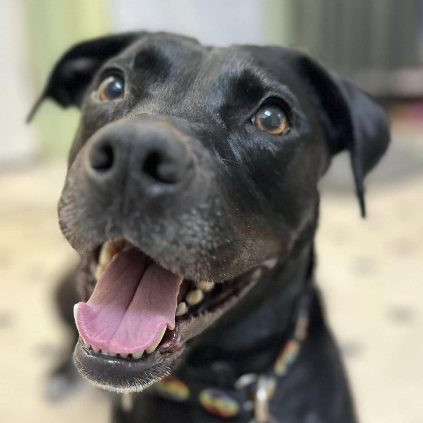 Wesson Here In Nh photo 1