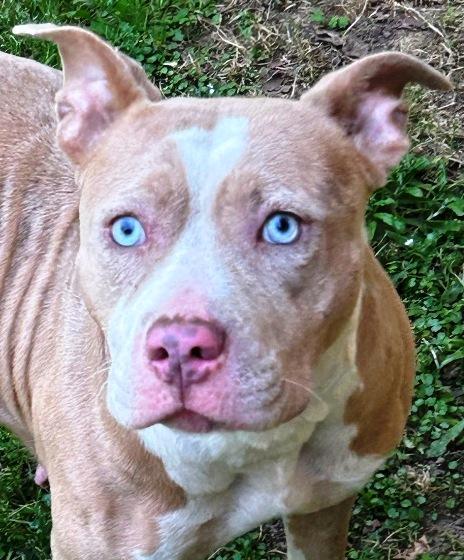 Storm Beautiful Blue/white photo 1