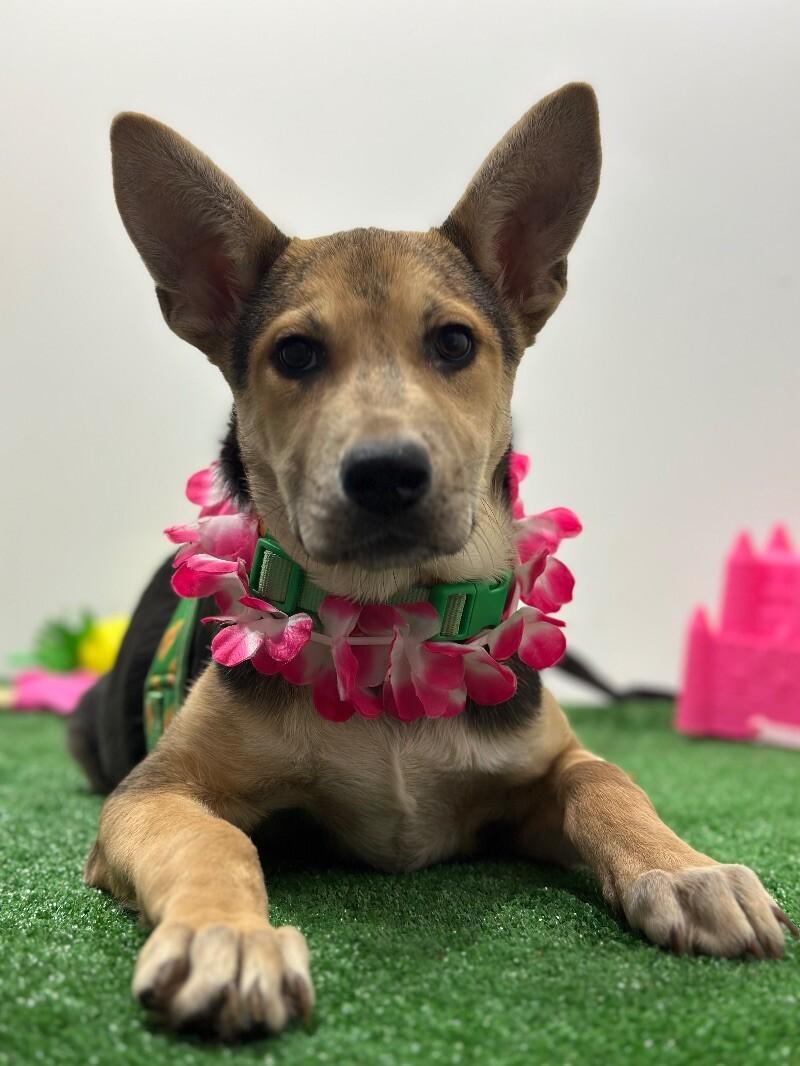 Charlize Theron photo 1