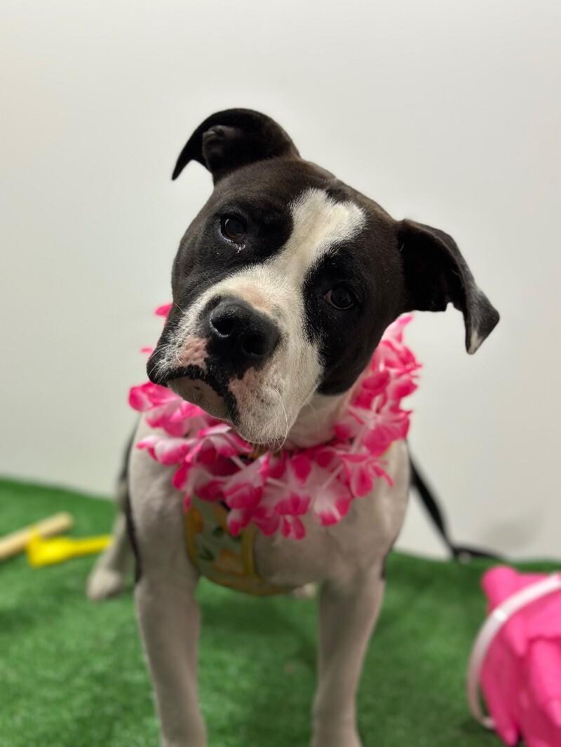 Penelope Cruz photo 1