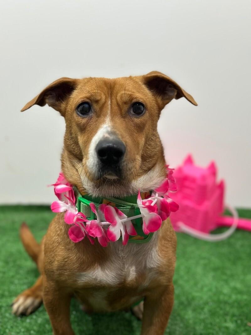 Ariana Grande photo 1