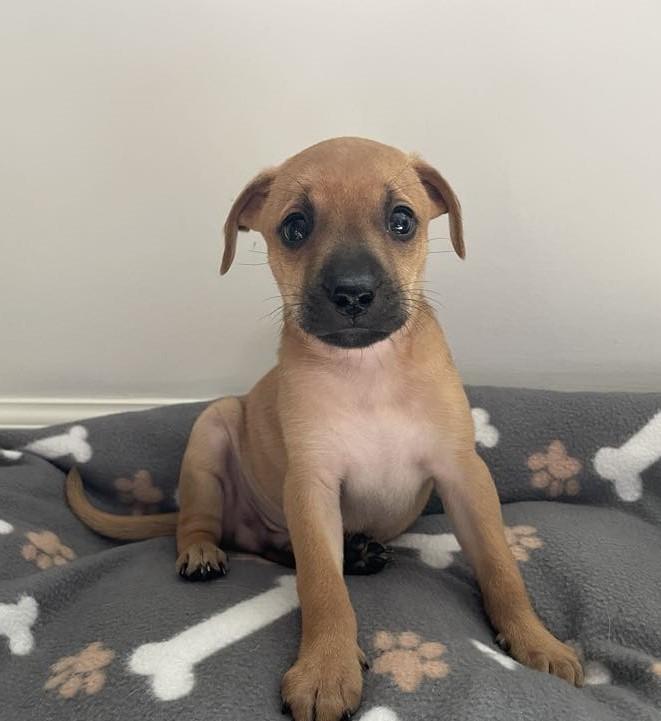 Camden (watch My Video) photo 1