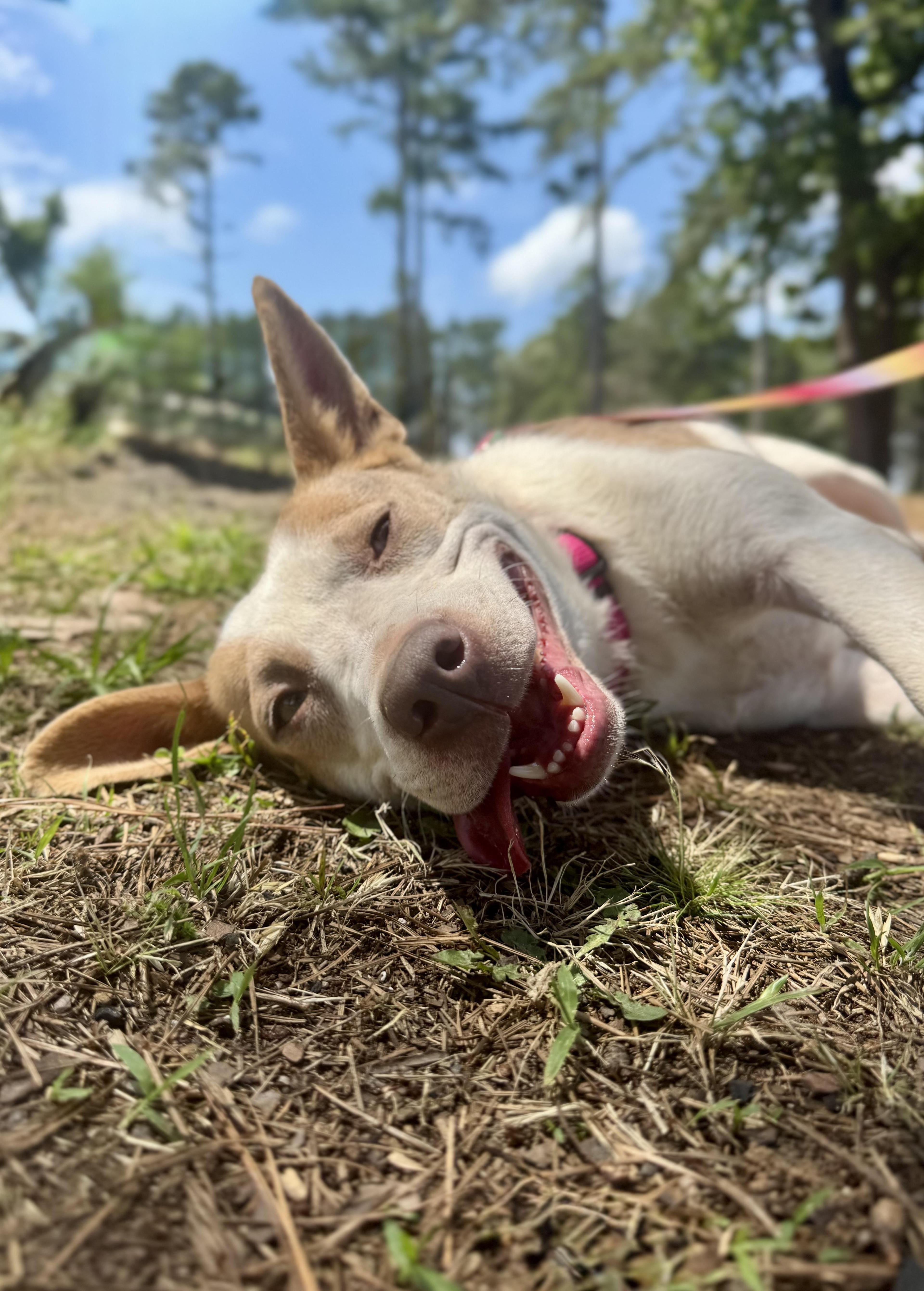 Frankie-lynn photo 1