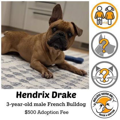 Hendrix Drake photo 1