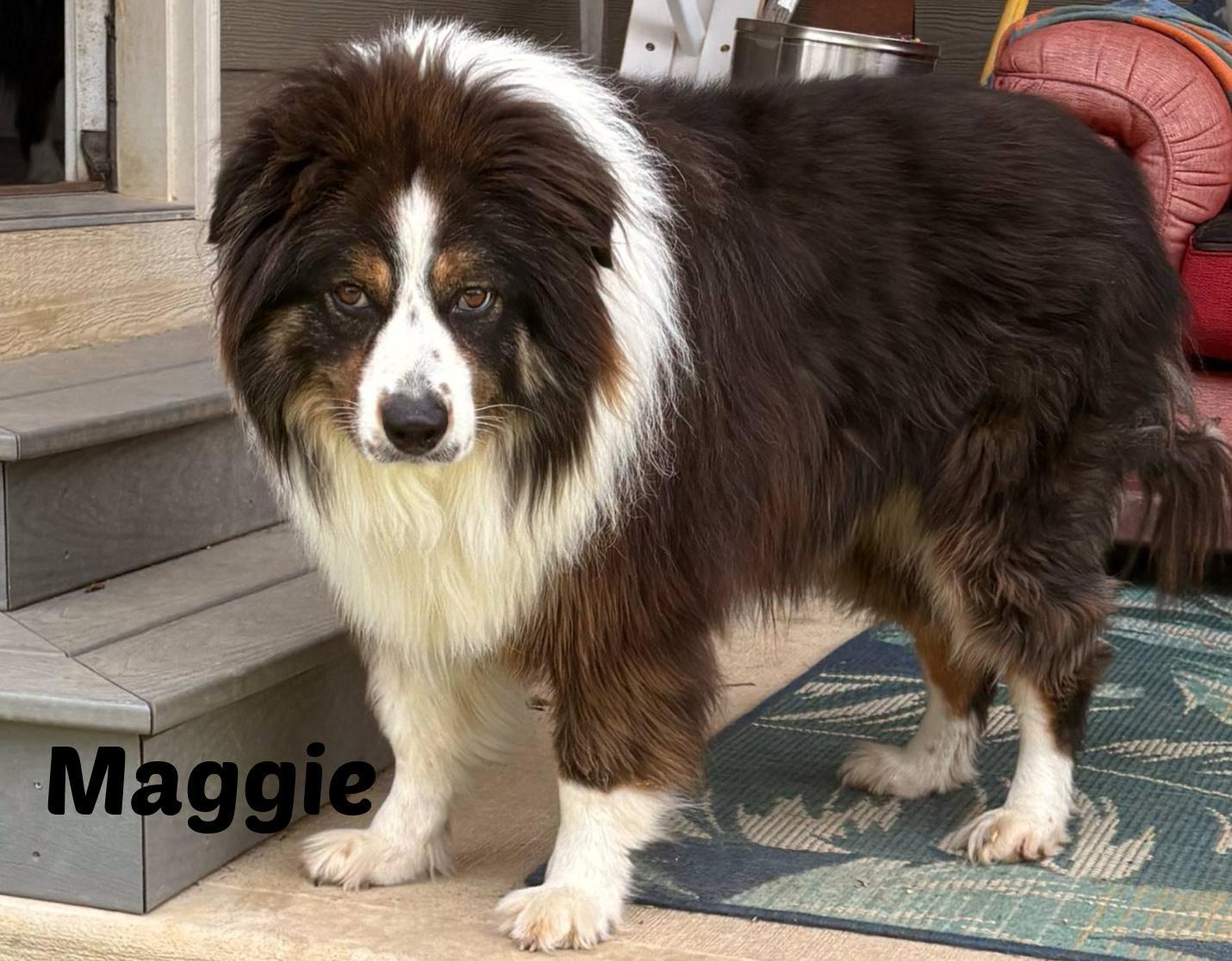 Maggie photo 1