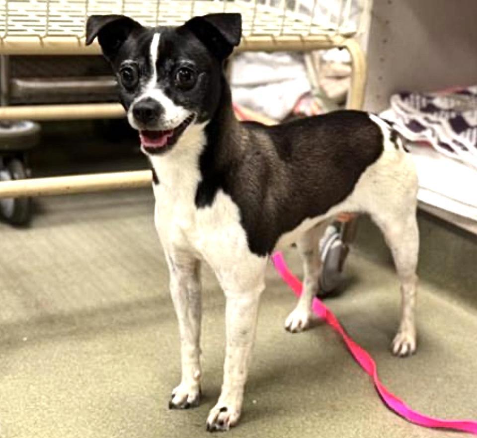 Urgent! Will You Save photo 1