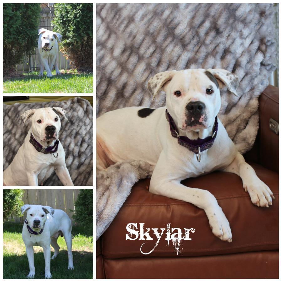 Skylar photo 1