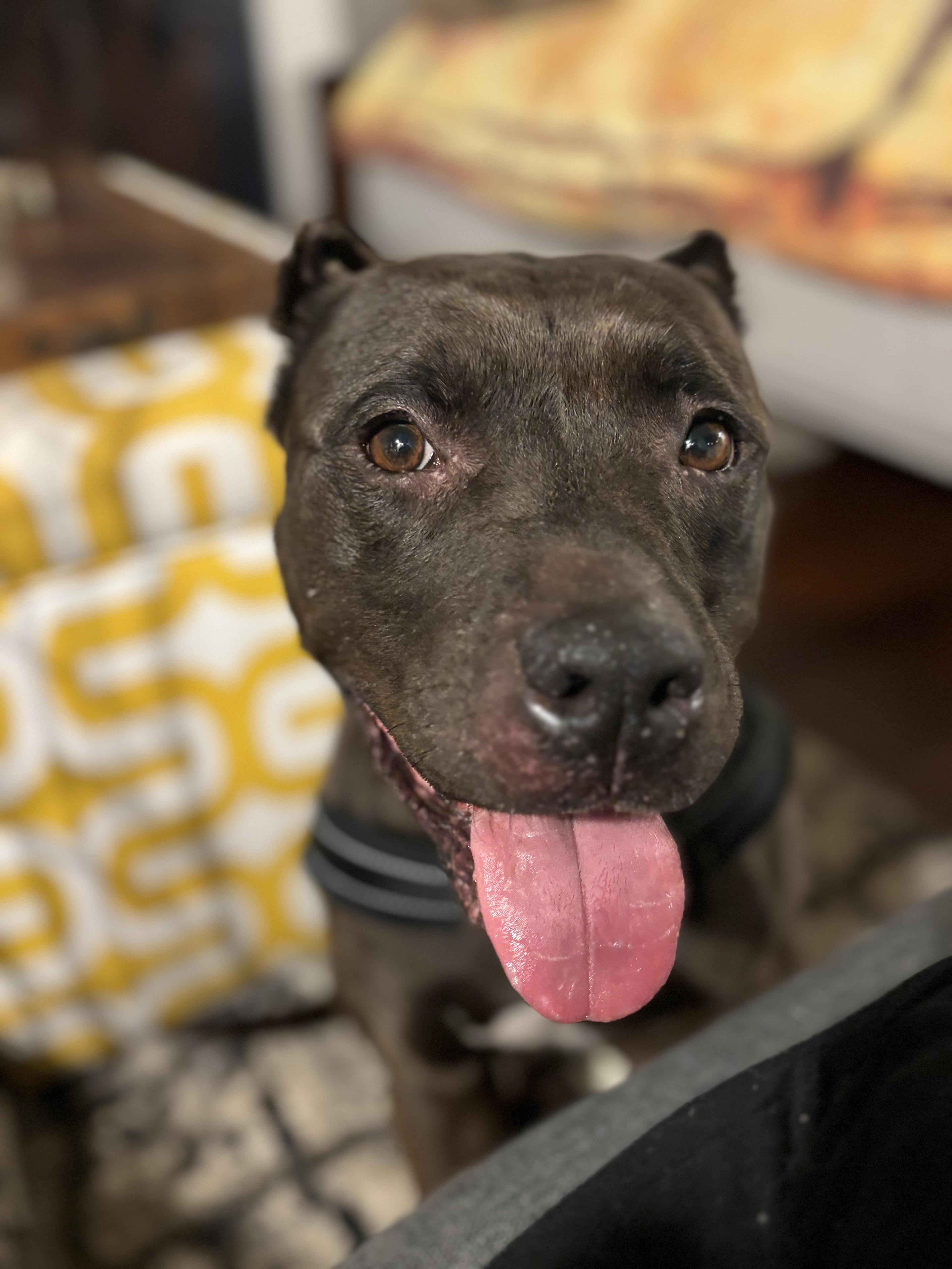 Saving Sherry: A Second photo 1