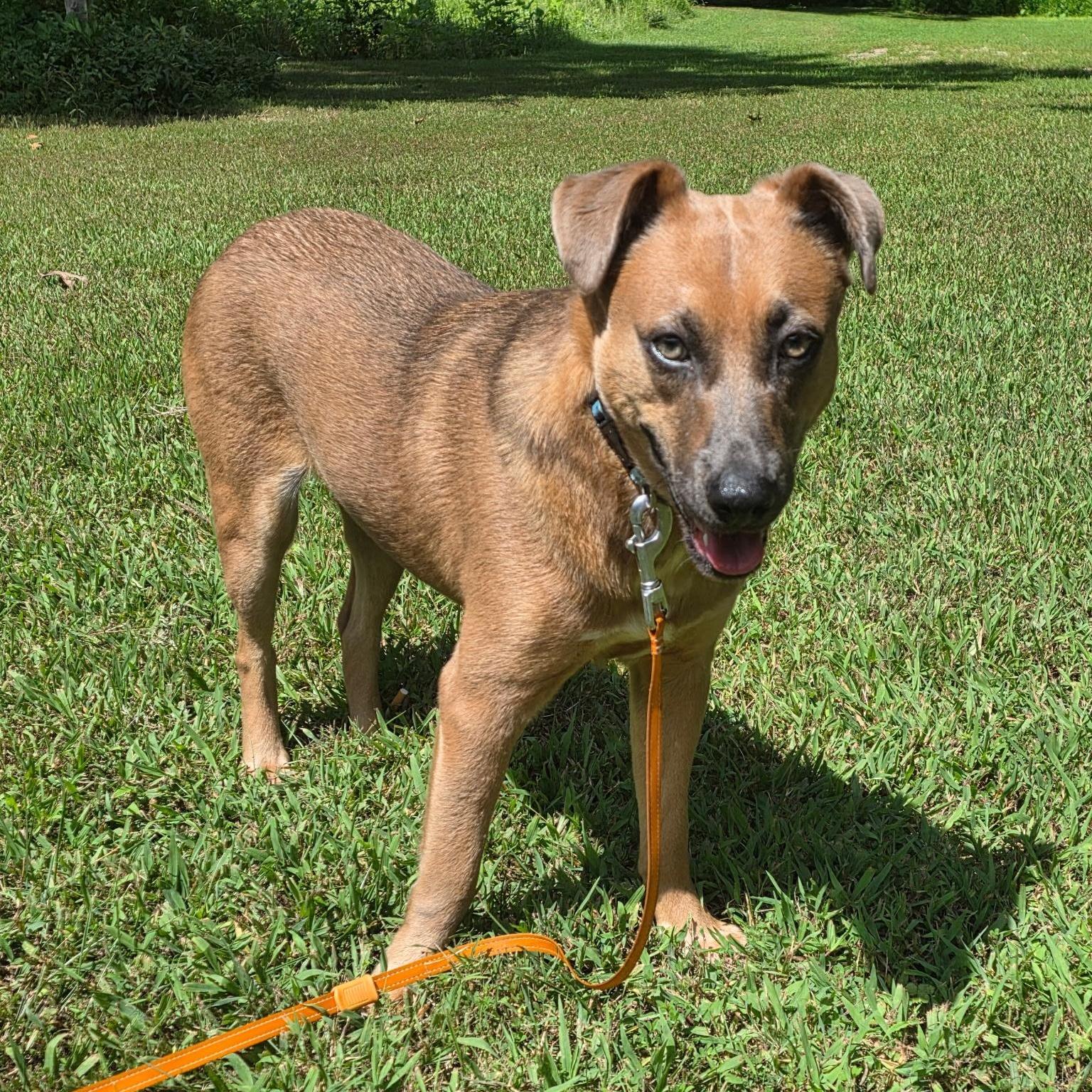 Jacob Stunning! photo 1