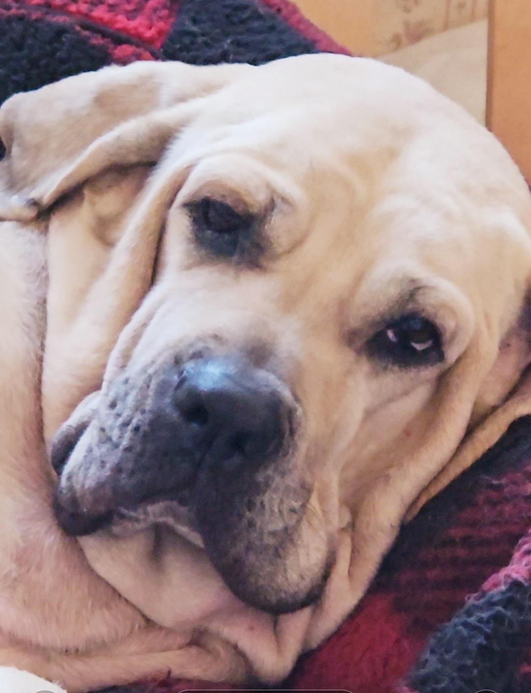 Babe The Fila photo 1