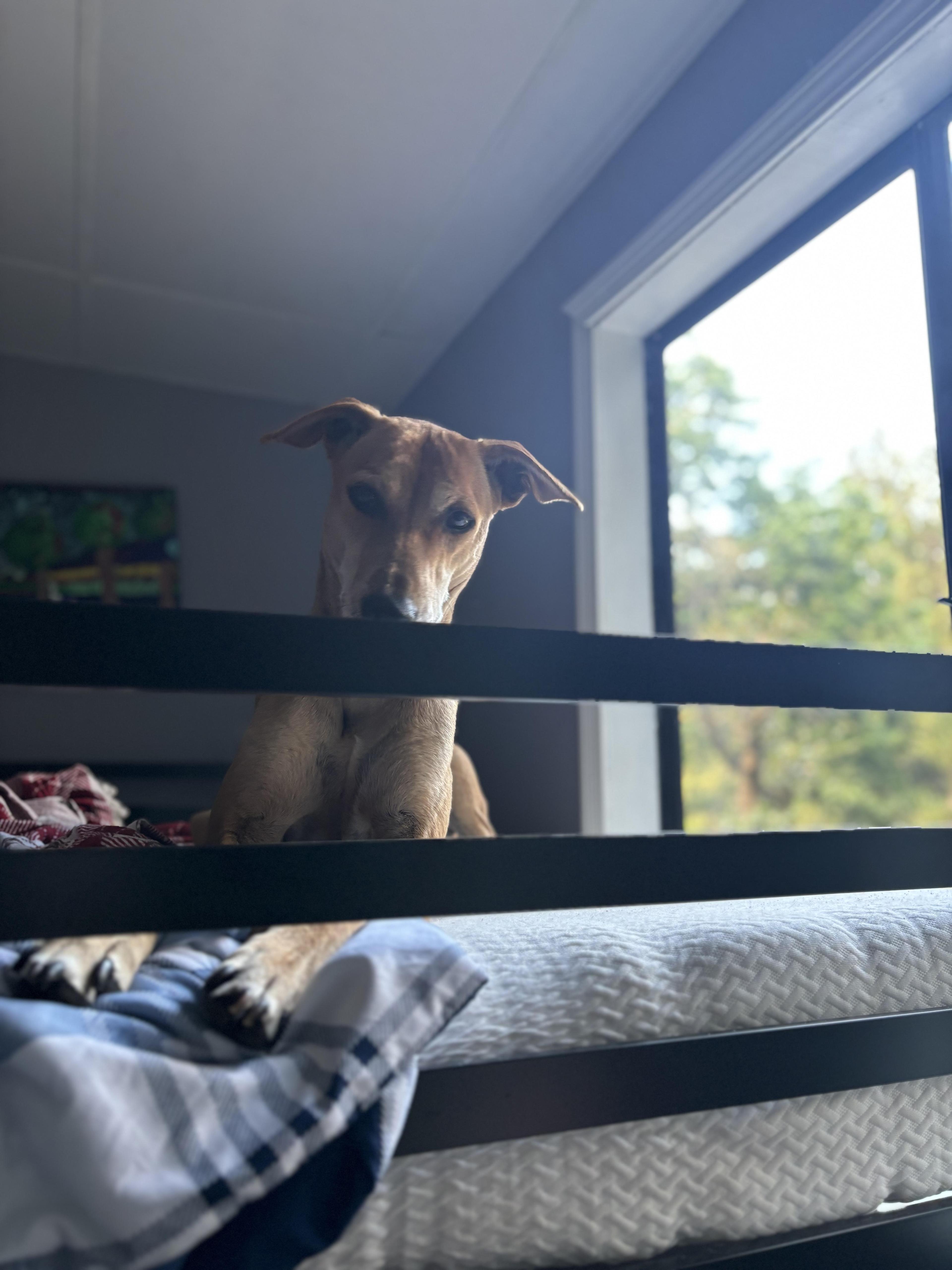 Chimmu Was The Scape