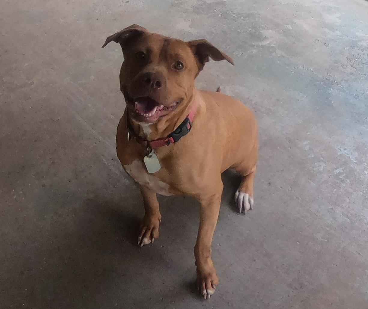 Luna Luvpitt photo 1