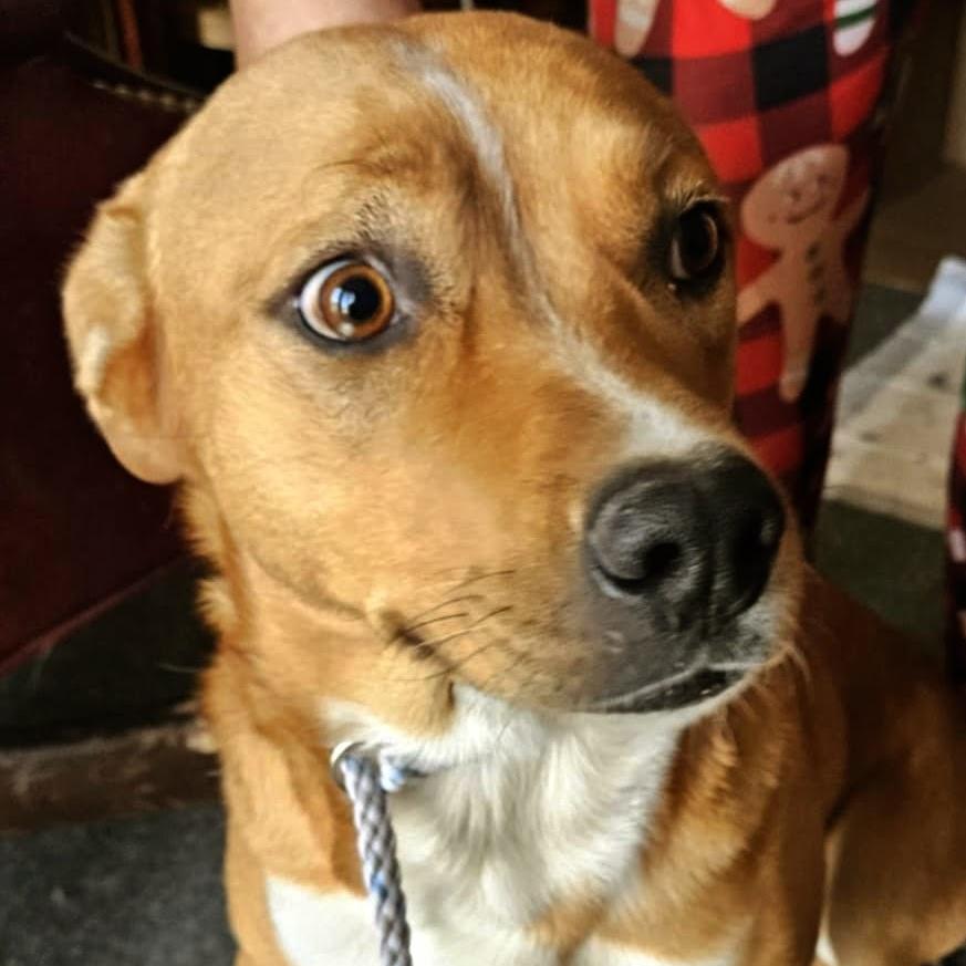 Moon-wanna Hang!? photo 1