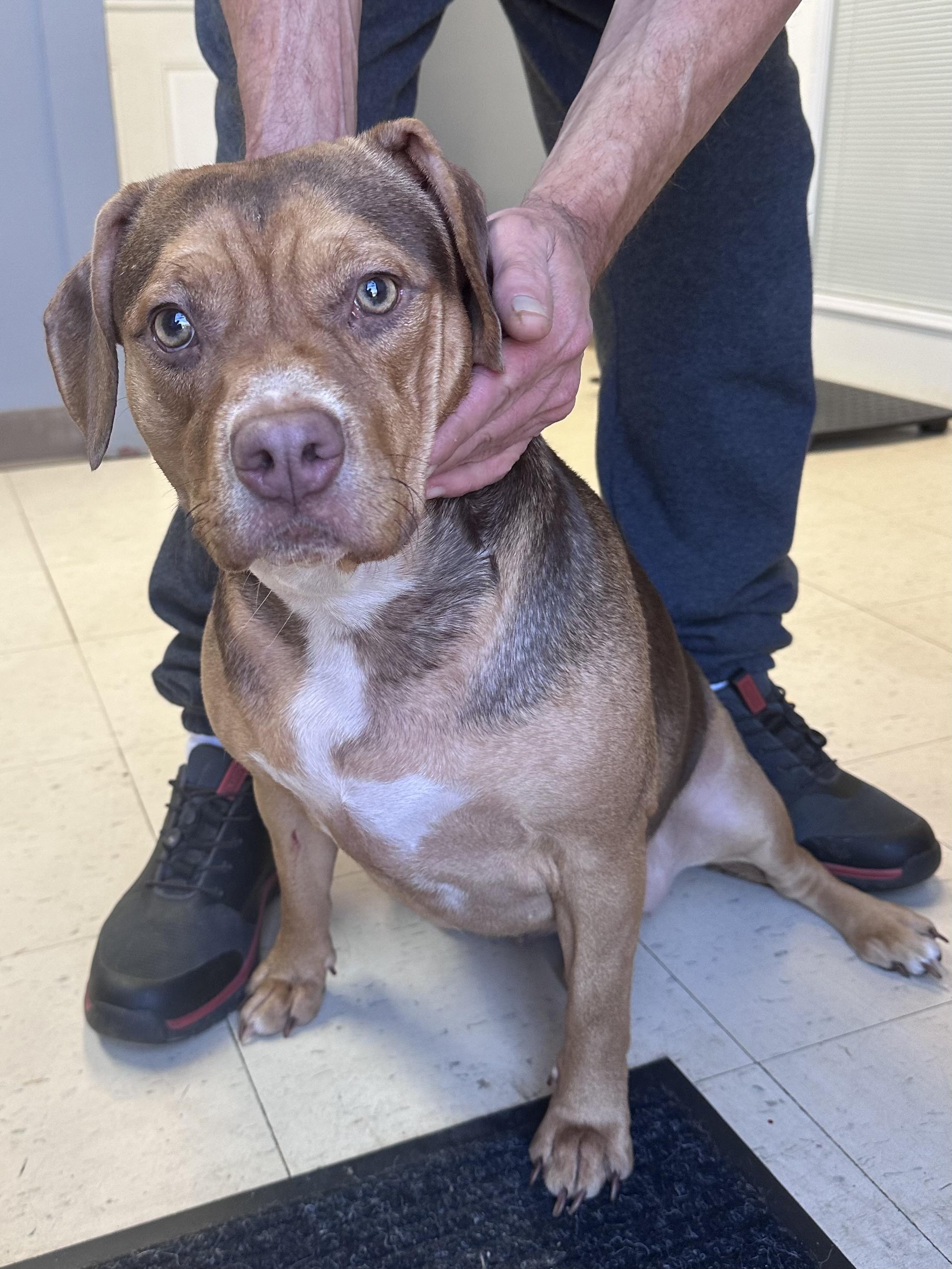 Ember Jordan photo 1