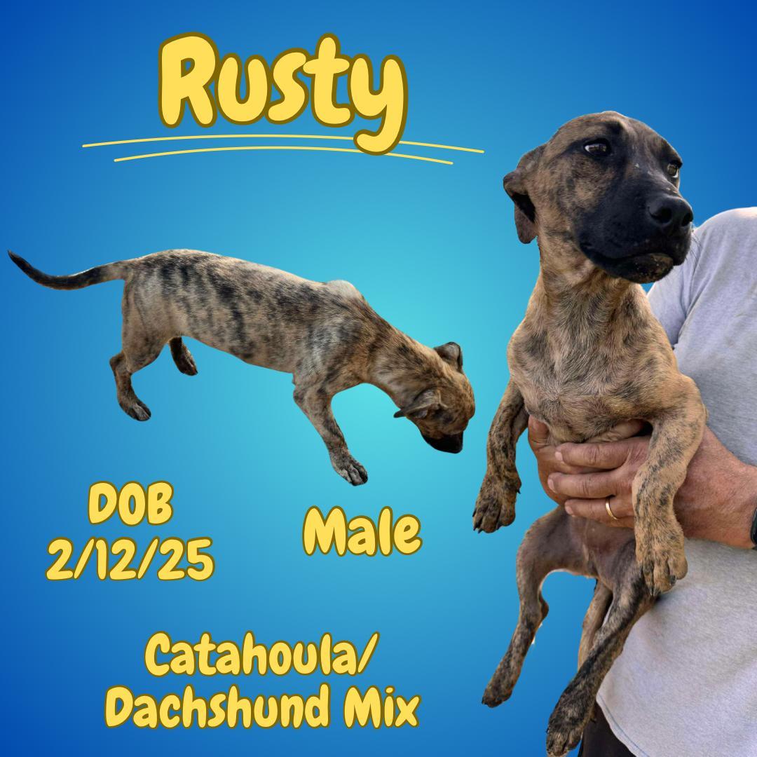 Rusty