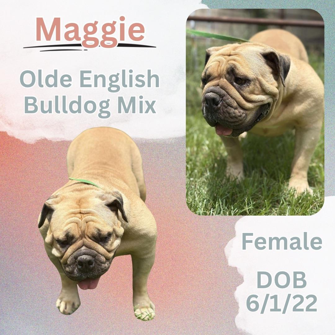 Maggie