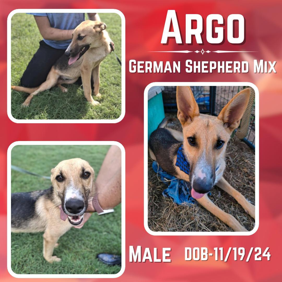 Argo
