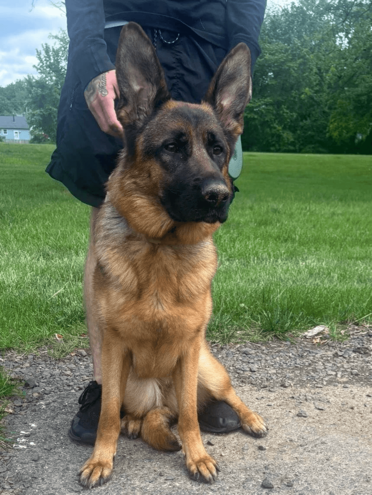 Sherlock Bones (Test Pet)