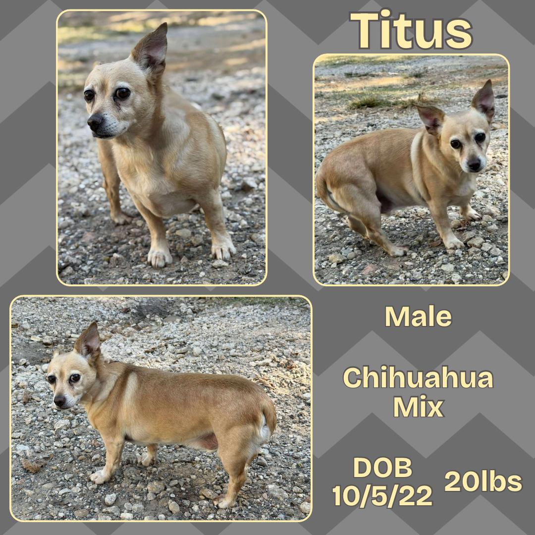 Titus