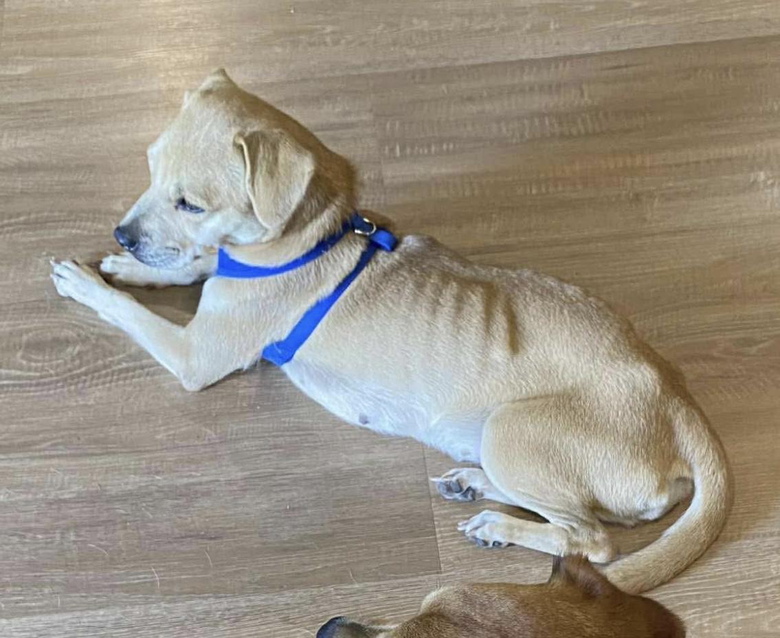 Betty Crocker photo 1