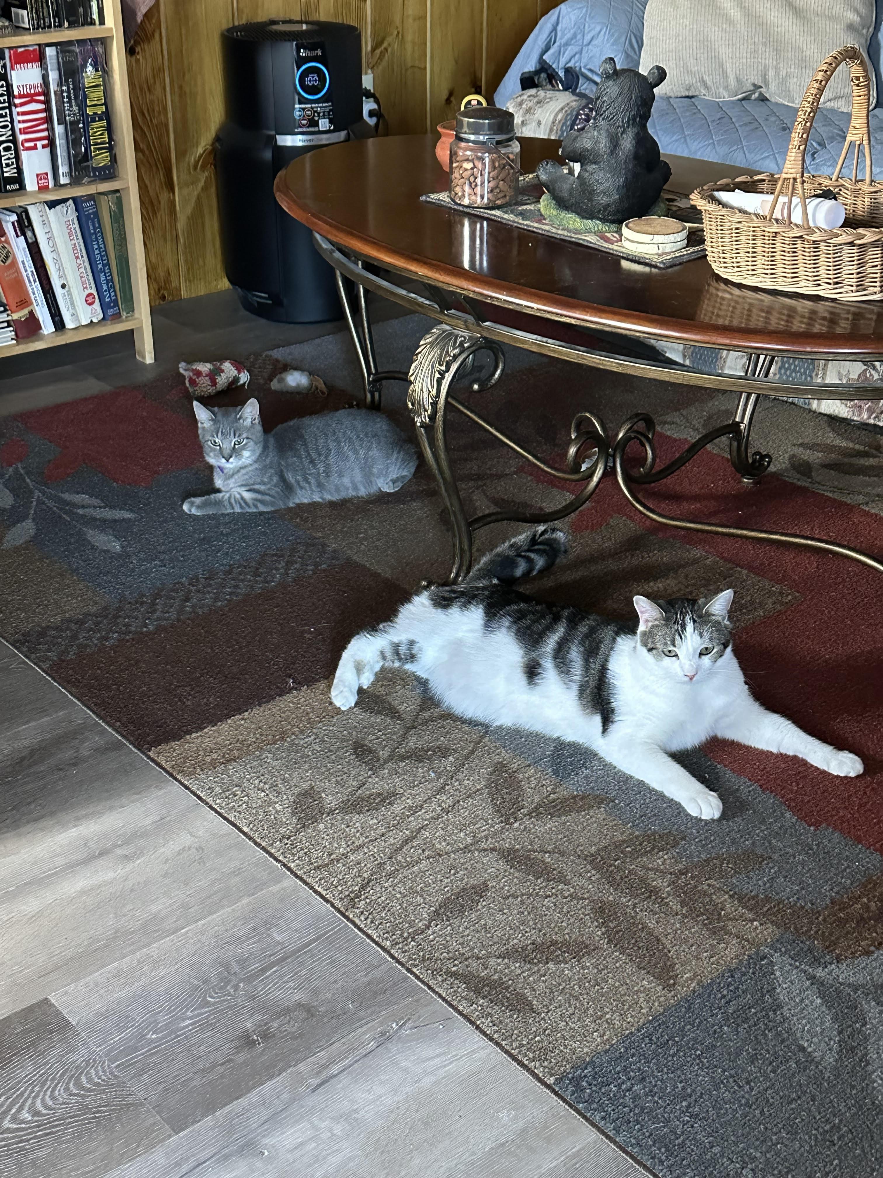 Yager & Clara photo 1