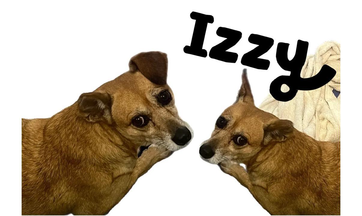 Izzy