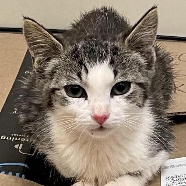 Truffle Very Affectionate