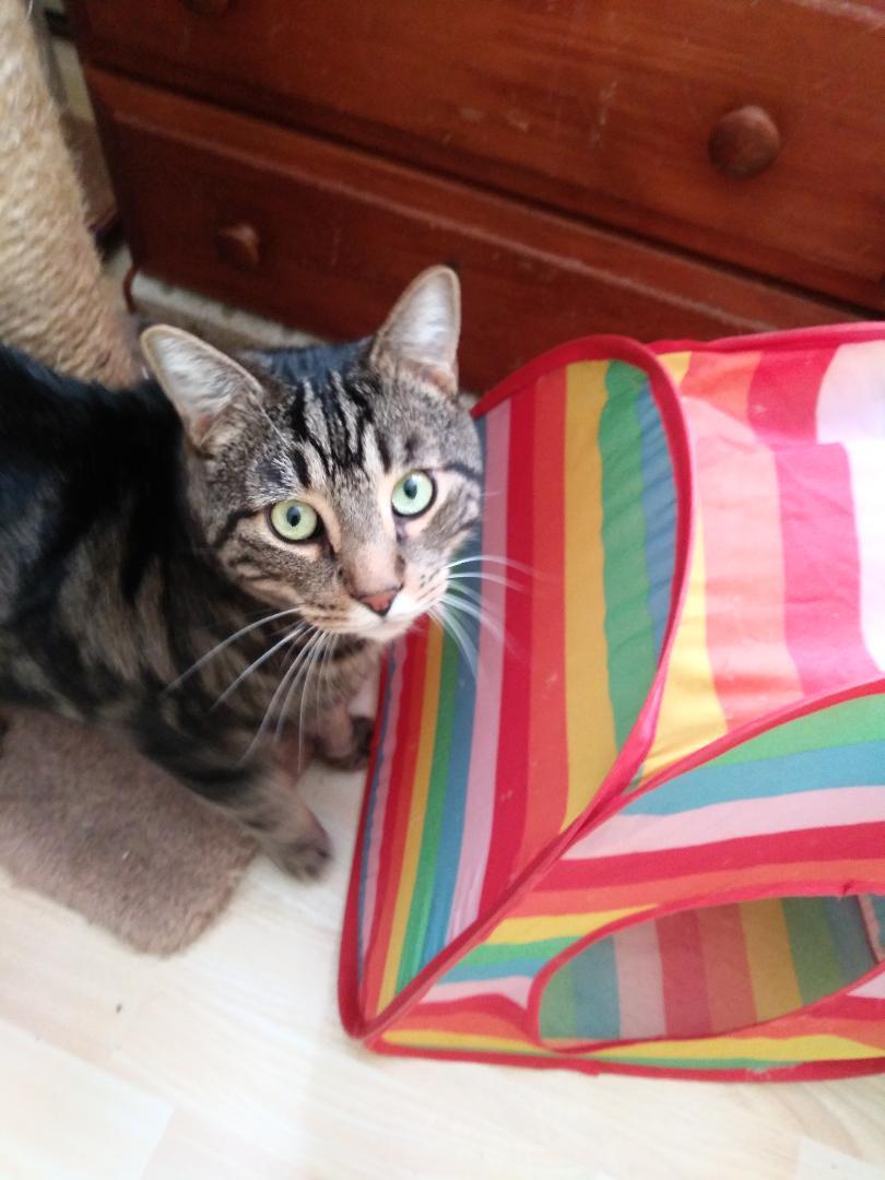 Branson & J.j. Rich photo 1