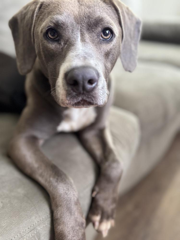 Daisy The Delightful photo 1