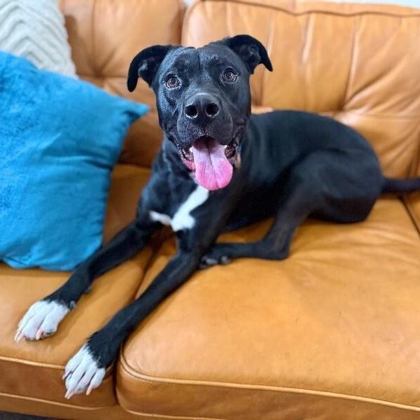 Mack Mcwiggles Your Happy