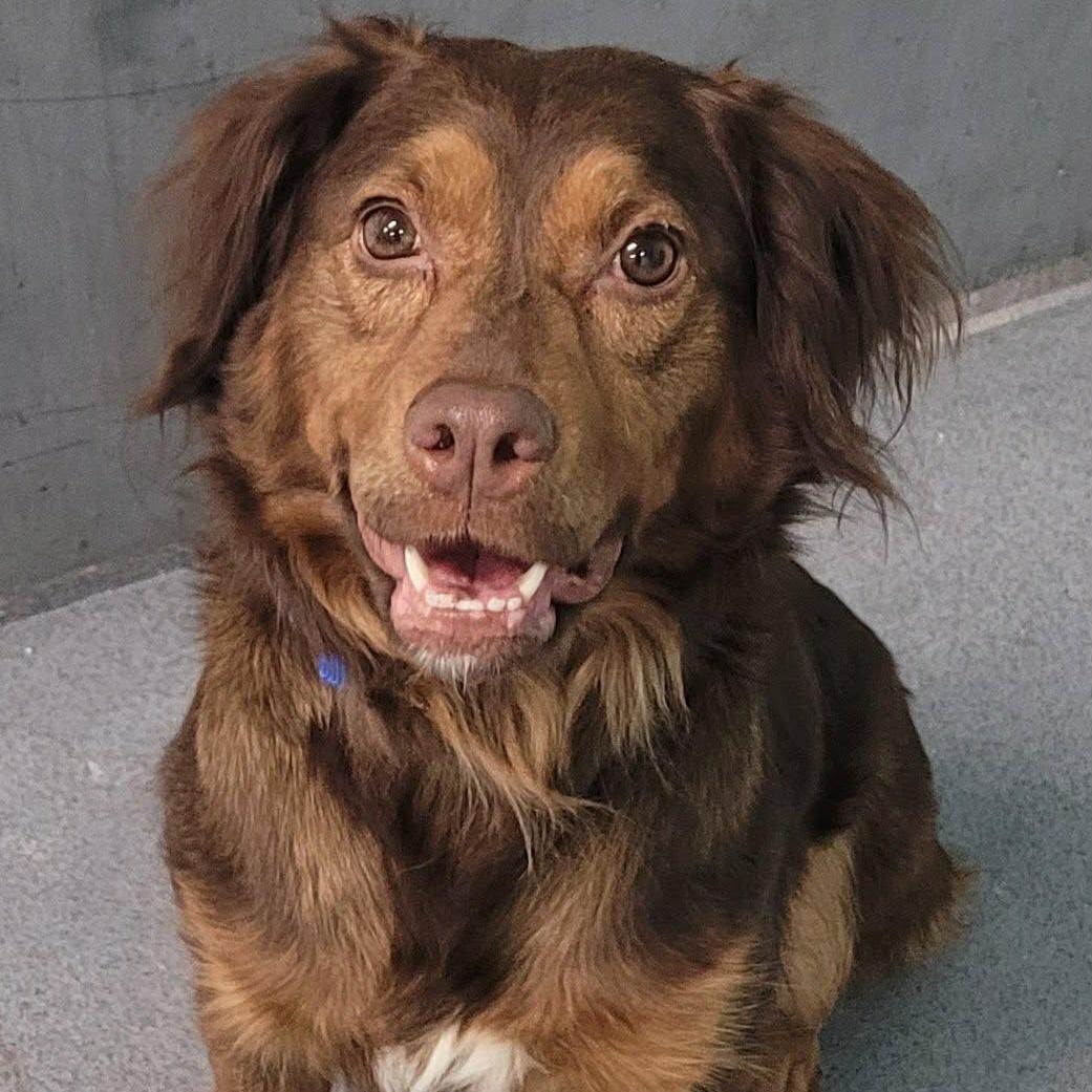 Hazel! Sweet Quiet Girl!