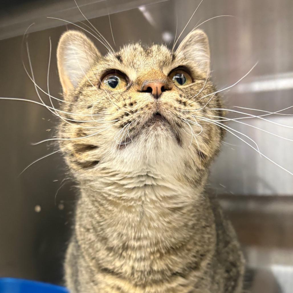 Microbiology photo 1