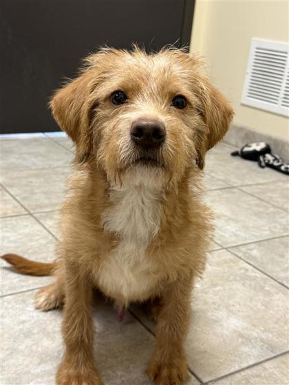 Bilbo Baggins photo 1