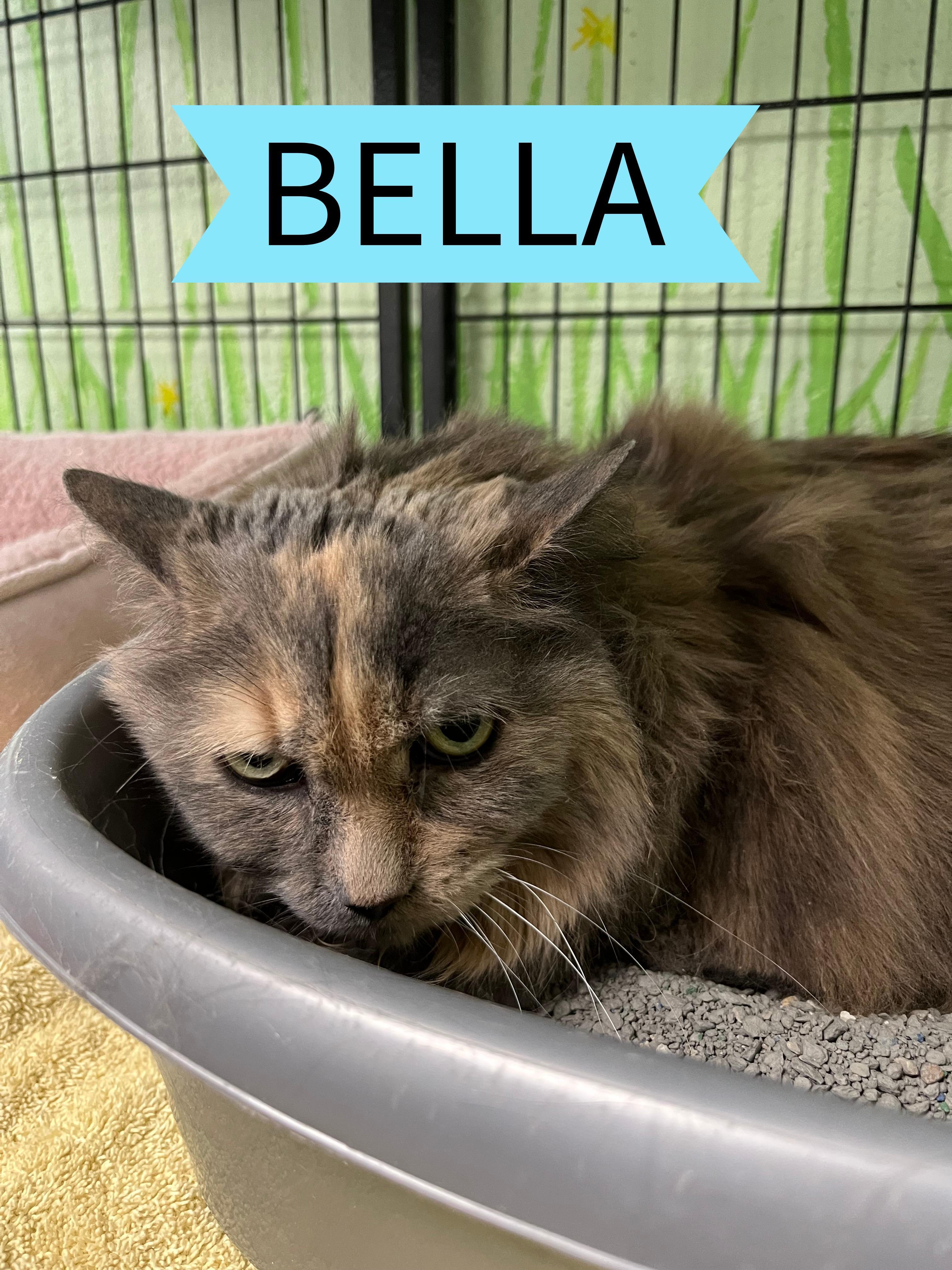 Bella