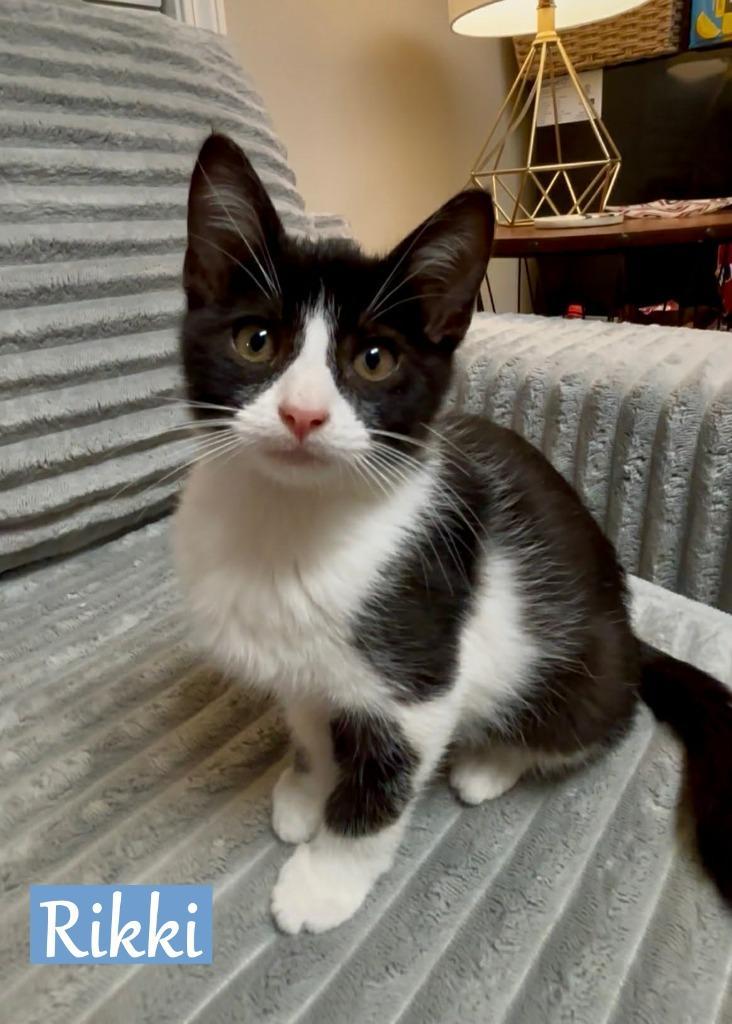 Rikki photo 1