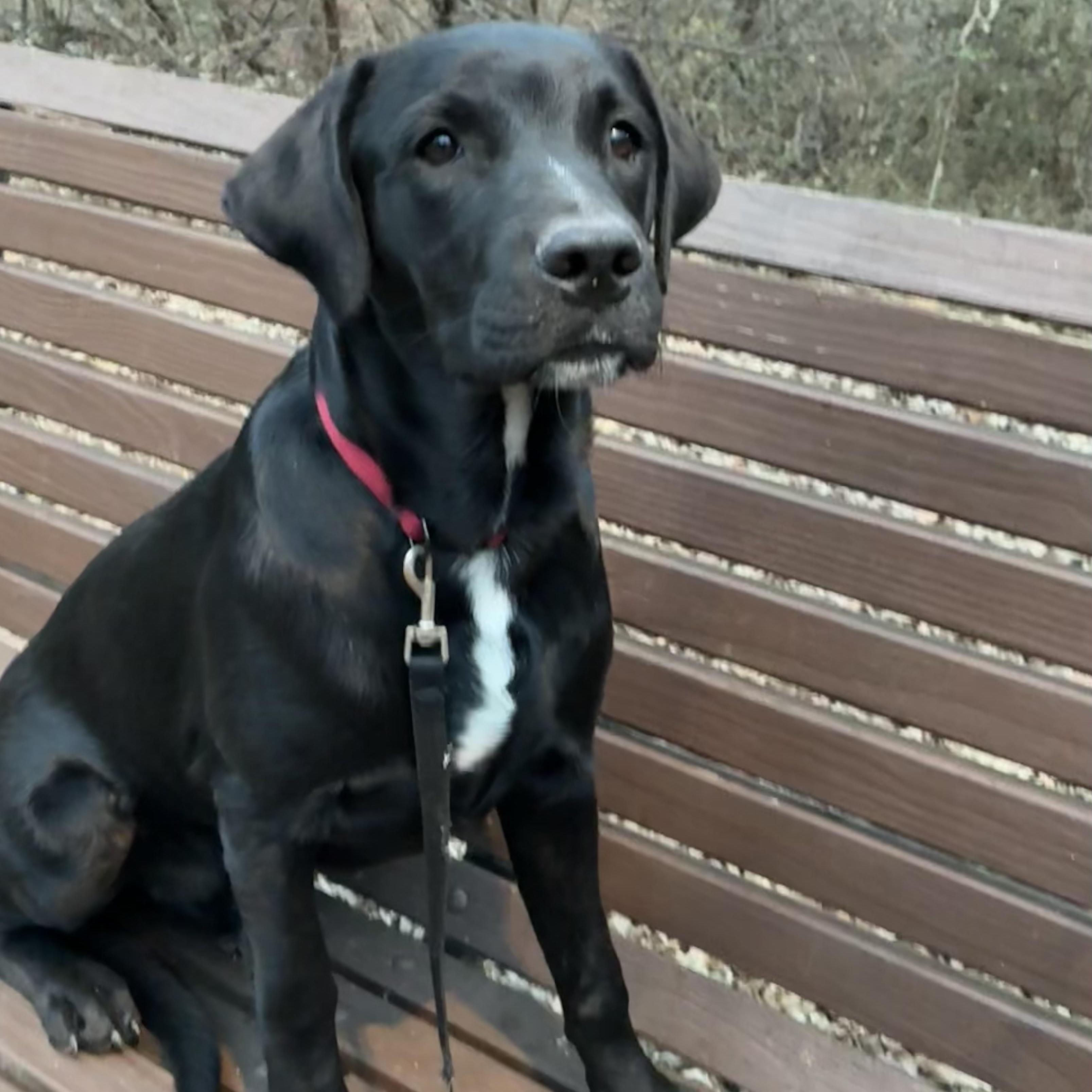 Cooper James photo 1