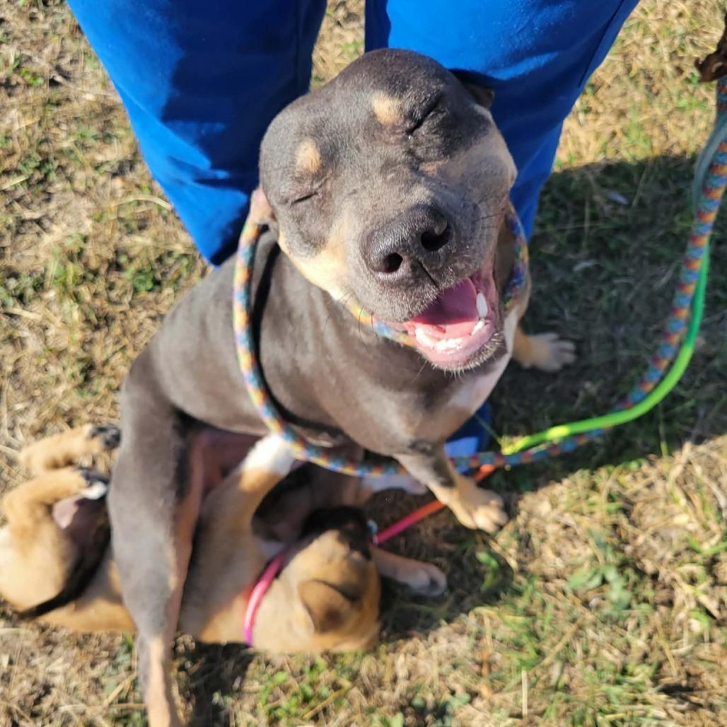 Billie Holiday photo 1