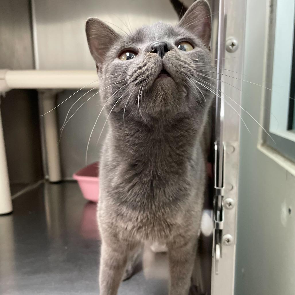 C'mon Loretta photo 1