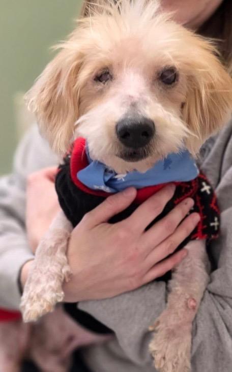 Stevie Wonder photo 1