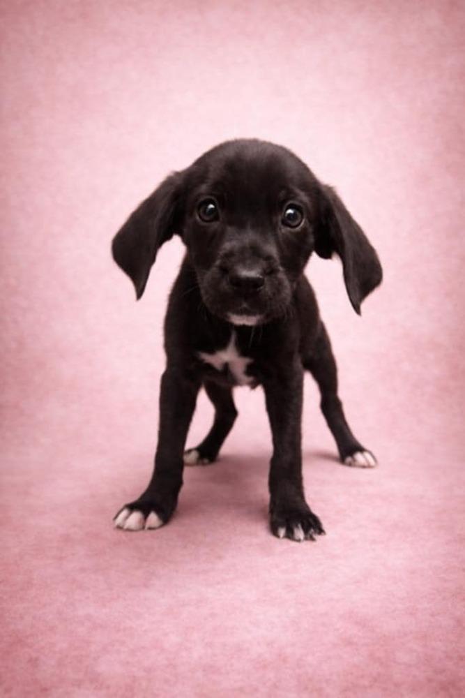 Supernatural Crew photo 1