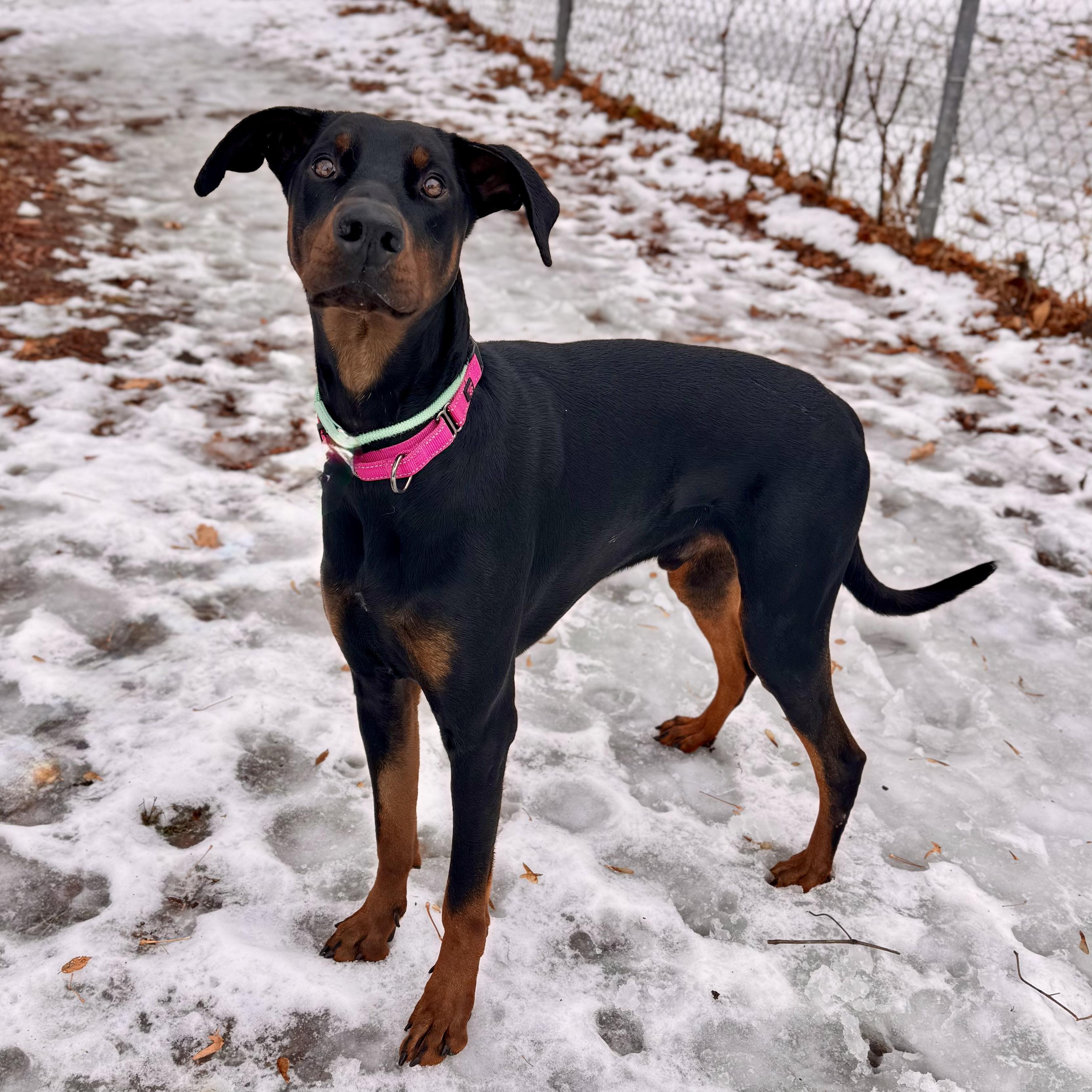 Kenny Courtesy Listing