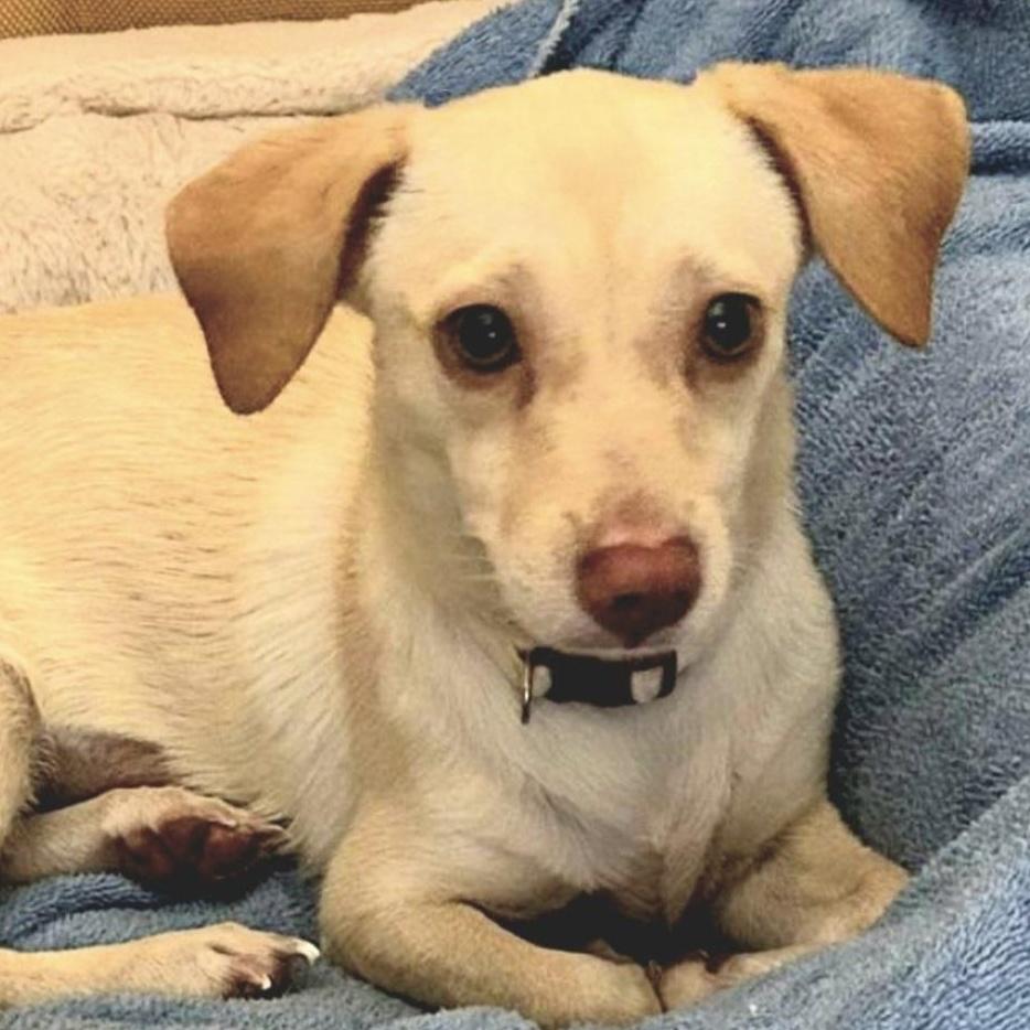 Mica "the Beach Baby