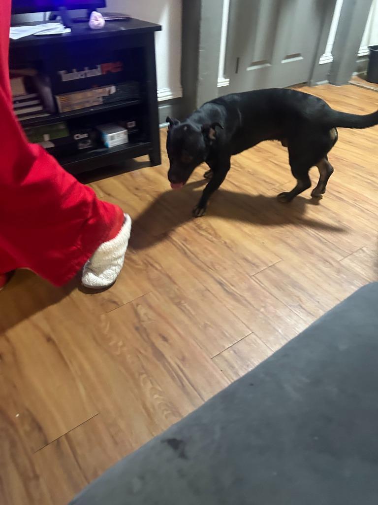 Beast Courtesy Listing