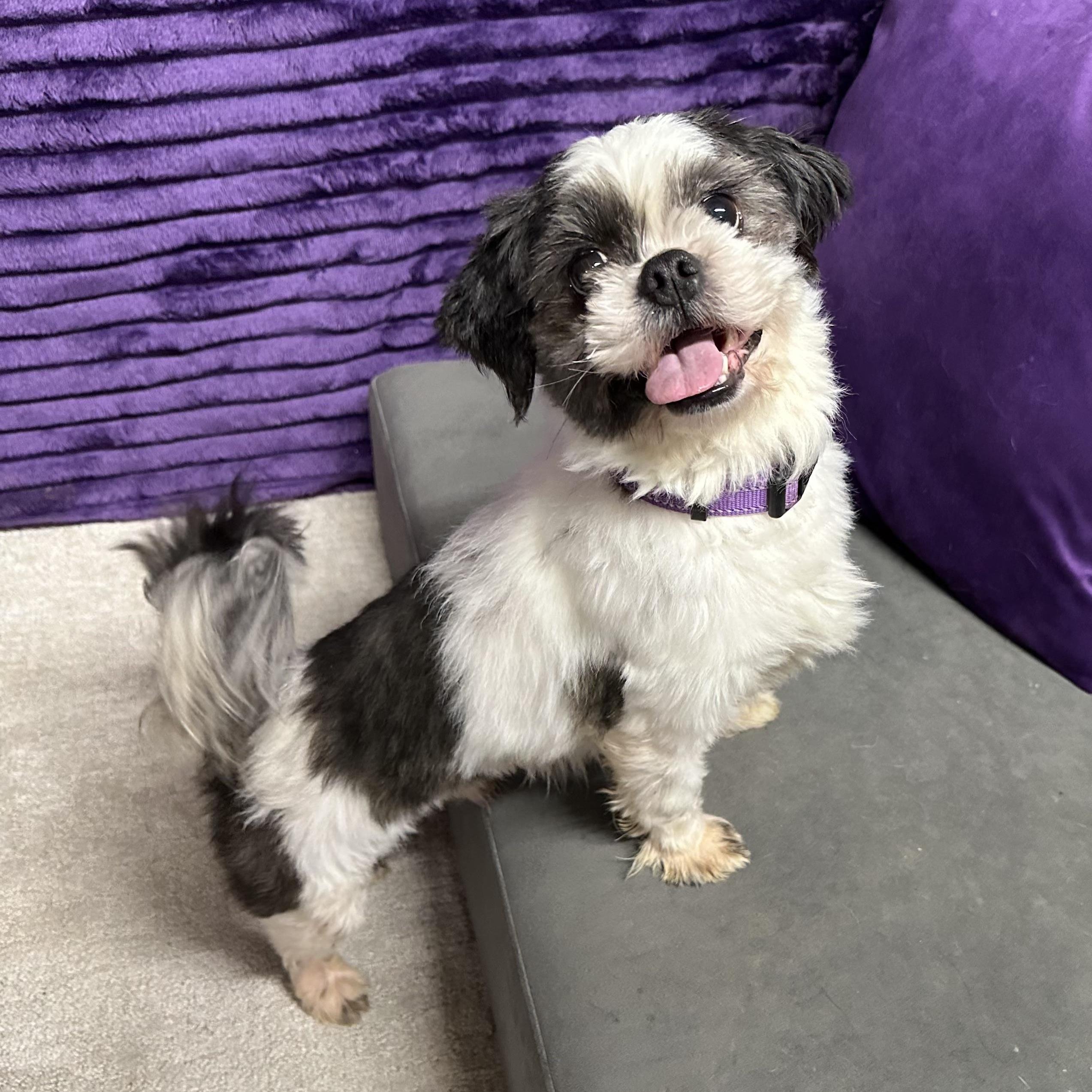 Mcgraw Home Visit In