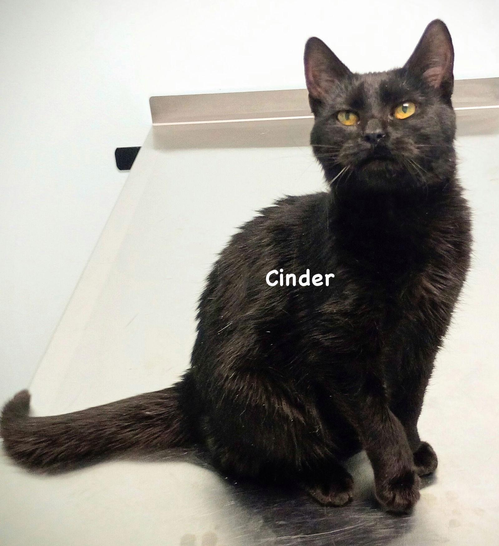 Cinder