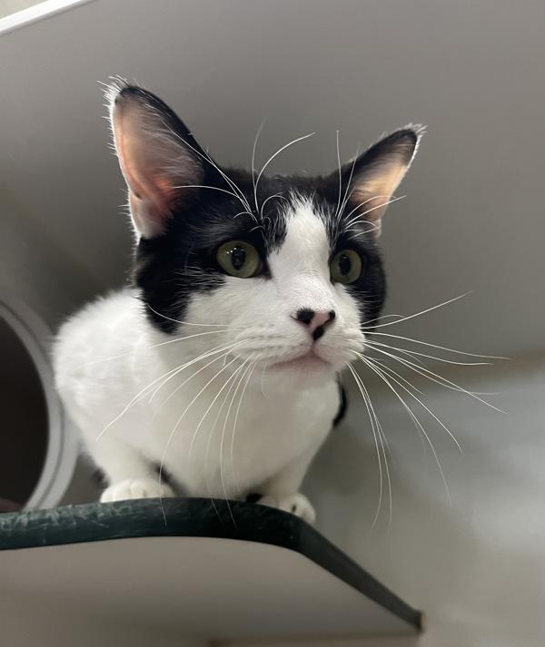 Dale Scott Jr. photo 1